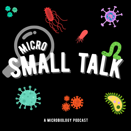 microsmalltalk.com